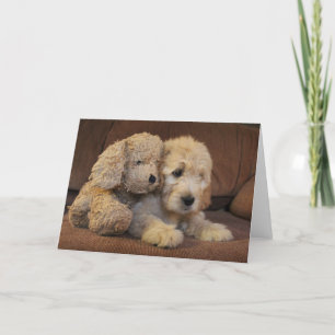 Het Wenskaart van het Puppy van Goldendoodle Kaart
