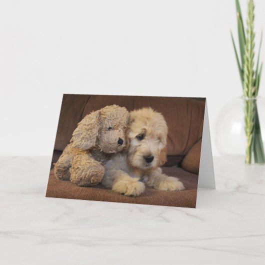 Het Wenskaart van het Puppy van Goldendoodle Kaart (Voorkant)