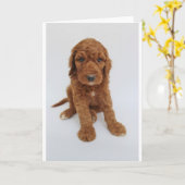 Het Wenskaart van het Puppy van Goldendoodle Kaart (Gele Bloem)