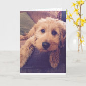 Het Wenskaart van het Puppy van Goldendoodle Kaart (Gele Bloem)