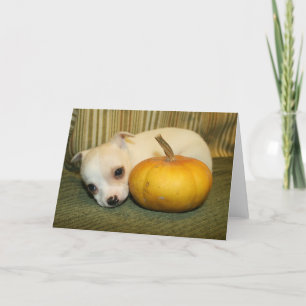 Het Wenskaart van het Puppy van Halloween Kaart