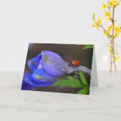 Het Wenskaart van het ridderspoor Kaart (Gele Bloem)