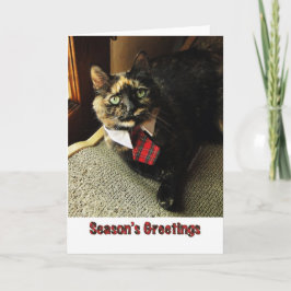 Het Wenskaart van het Seizoen van Tortie, Starring Feestdagen Kaart
