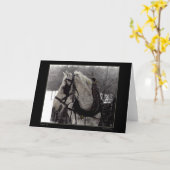 Het Wenskaart van het trekpaard Kaart (Gele Bloem)