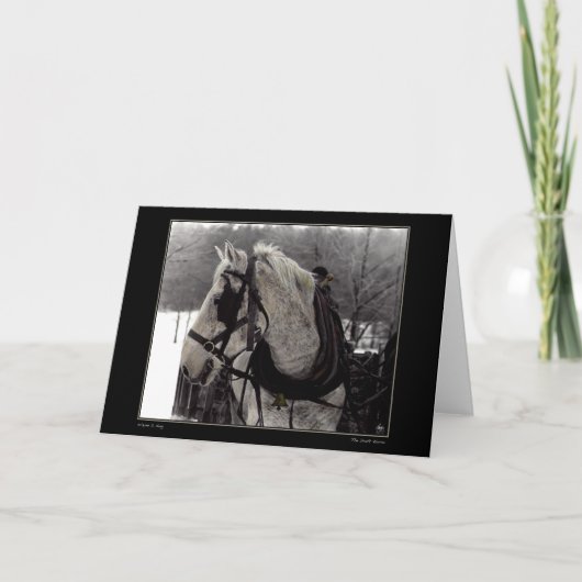 Het Wenskaart van het trekpaard Kaart (Voorkant)