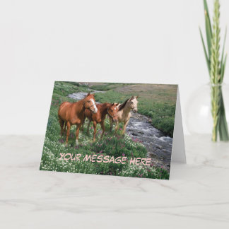 Het Wenskaart van het Trio van het paard Kaart