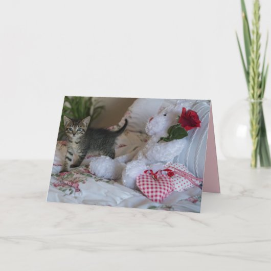 het wenskaart van het valentijnkatje kaart (Voorkant)