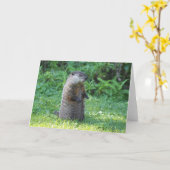 Het wenskaart van het Varken van de grond Kaart (Gele Bloem)