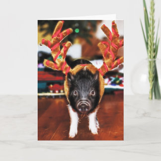 Het Wenskaart van het Varken van Kerstmis Feestdagen Kaart