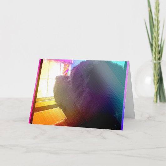 Het Wenskaart van het Verlies van het huisdier Kaart (Voorkant)