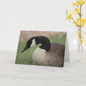 Het Wenskaart van het Wild van de "Canadese Gans" Kaart (Gele Bloem)