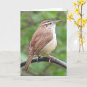 Het Wenskaart van het Winterkoninkje van Carolina Kaart (Gele Bloem)