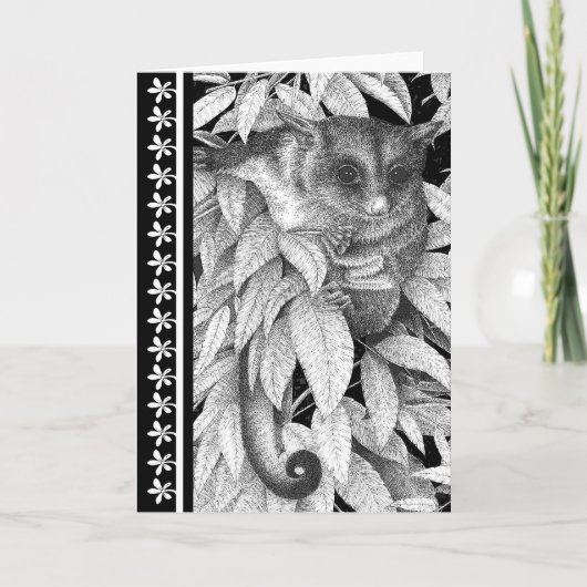 Het Wenskaart van het Zweefvliegtuig van de suiker Kaart (Voorkant)