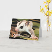 Het Wenskaart van het Zweefvliegtuig van de suiker Kaart (Gele Bloem)