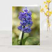 Het wenskaart van hyacinten kaart (Gele Bloem)