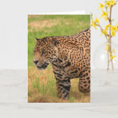 Het Wenskaart van Jaguar Kaart (Gele Bloem)