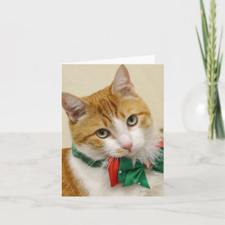 Het Wenskaart van Kerstmis van de Gestreepte kat Feestdagen Kaart