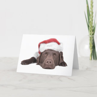 Het Wenskaart van Labrador van Kerstmis Feestdagen Kaart