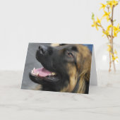 Het Wenskaart van Leonberger Kaart (Gele Bloem)