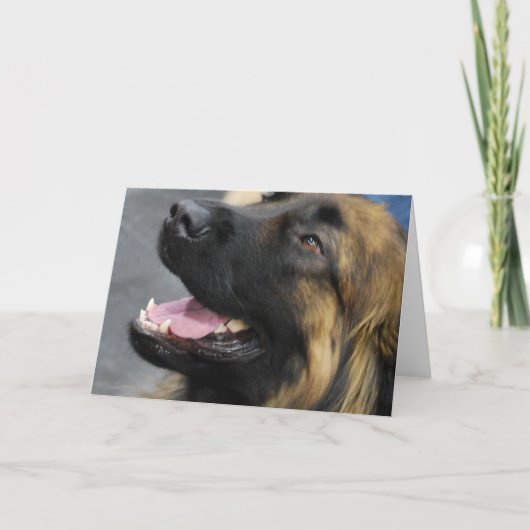 Het Wenskaart van Leonberger Kaart (Voorkant)