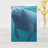 Het Wenskaart van Manatee Kaart (Gele Bloem)