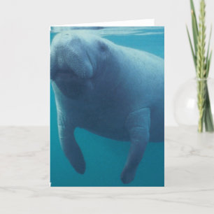 Het Wenskaart van Manatee Kaart