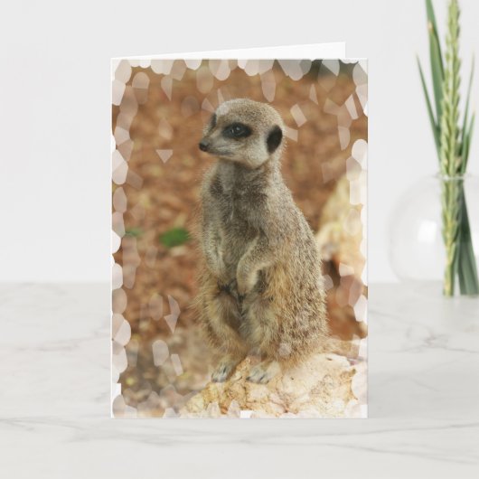 Het Wenskaart van Meerkat van het baby Kaart (Voorkant)