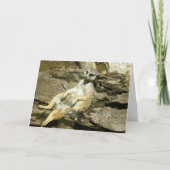 Het Wenskaart van Mercat Kaart (Voorkant)