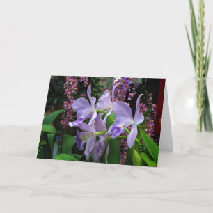 Het Wenskaart van orchideeën Kaart