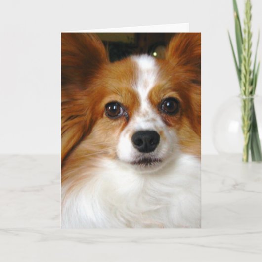 Het Wenskaart van Papillon Kaart (Voorkant)