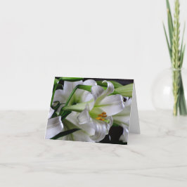 Het Wenskaart van Pasen #1 00678900 Feestdagen Kaart