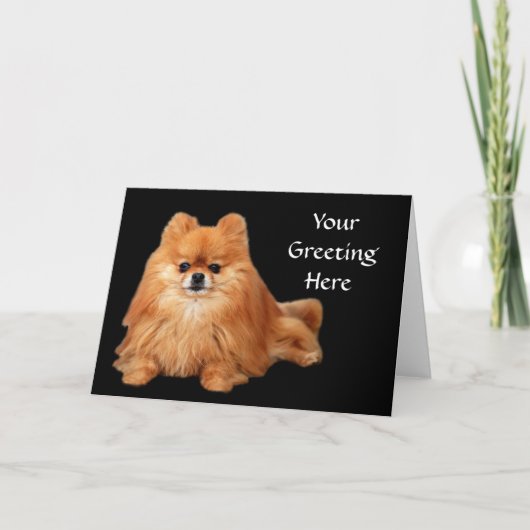 Het Wenskaart van Pomeranian Kaart (Voorkant)
