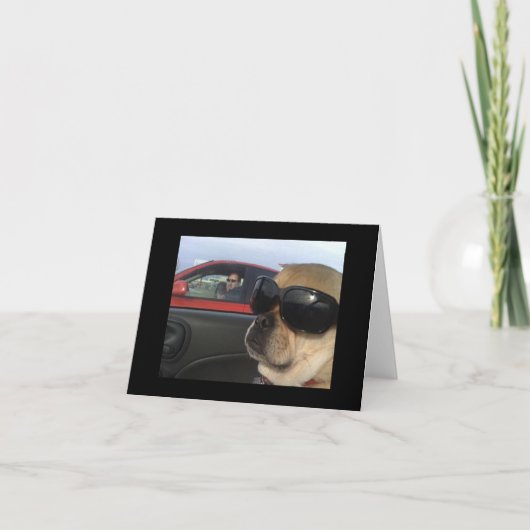 Het Wenskaart van Puggles Kaart (Voorkant)