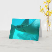 Het Wenskaart van Ray van Manta Kaart (Gele Bloem)