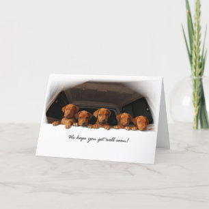 Het wenskaart van Ridgeback van Rhodesian - word Kaart