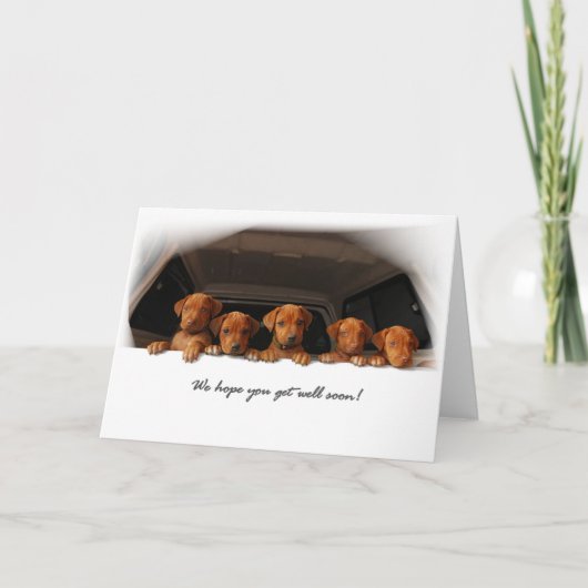 Het wenskaart van Ridgeback van Rhodesian - word Kaart (Voorkant)