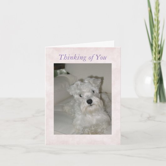 Het Wenskaart van Schnauzer Kaart (Voorkant)