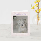 Het Wenskaart van Schnauzer Kaart (Gele Bloem)