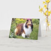 Het Wenskaart van Sheltie Kaart (Gele Bloem)
