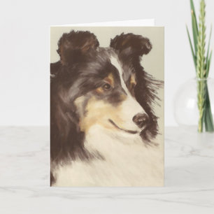 Het Wenskaart van Sheltie Kaart