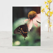 Het Wenskaart van Sipper van Echinacea Kaart (Gele Bloem)