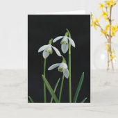 Het wenskaart van sneeuwklokjes kaart (Gele Bloem)