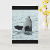 Het Wenskaart van Spyhop van de orka Kaart (Gele Bloem)