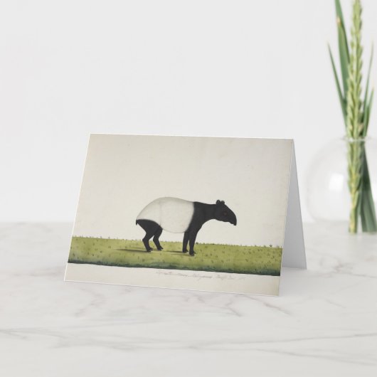 Het Wenskaart van Tepir Kaart (Voorkant)