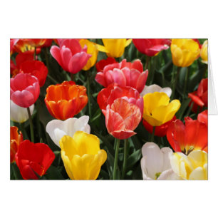Het wenskaart van tulpen