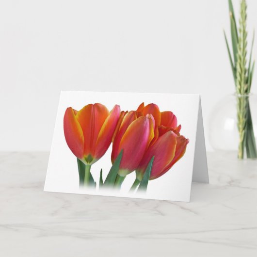 Het Wenskaart van tulpen Kaart (Voorkant)