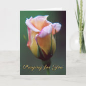Het Wenskaart van uw Roos bidden Kaart (Voorkant)