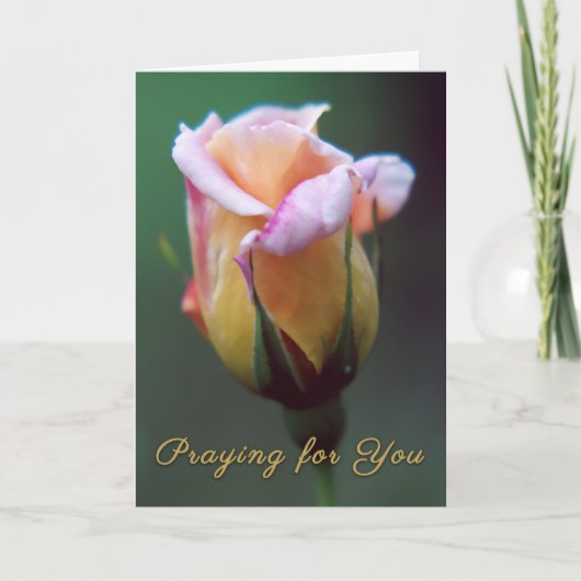 Het Wenskaart van uw Roos bidden Kaart (Voorkant)