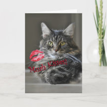Het Wenskaart van Valentijn van de Kat van de