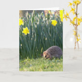 Het Wenskaart van Walkabout van de gele narcis Kaart (Gele Bloem)